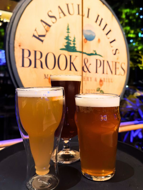 micro brewery in Kasauli