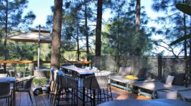 Best Café in Kasauli Mall Road: Unwind with Coffee, Cocktails, and a Stunning View