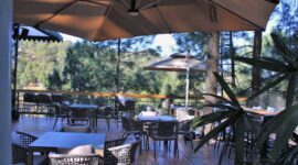 Explore the Best Food Court in Kasauli: Top Picks & Reviews