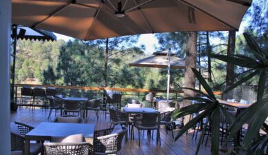 Famous Cafes in Kasauli That You Must Visit in 2025