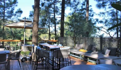 Best Places to Eat in Kasauli: Discover Brook & Pines for Great Food