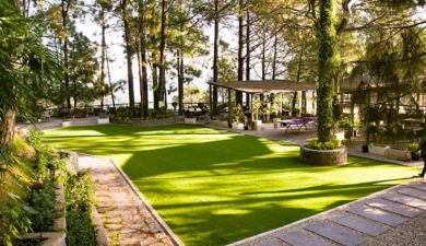 Indian Restaurant in Kasauli: A Taste of India in the Hills