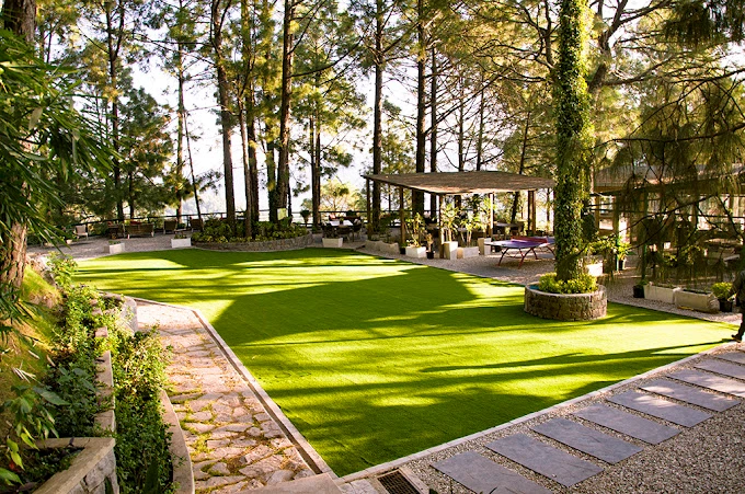You are currently viewing Indian Restaurant in Kasauli: A Taste of India in the Hills
