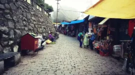 Discovering Mall Road in Kasauli: Where Charm Meets Scenic Beauty