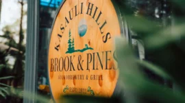 Top Dining Choice Among 3 Star Hotels in Kasauli in 2024