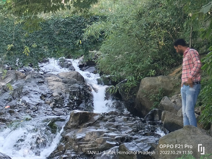 Unwind in Nature: The Serene Beauty of Brook & Pines Restaurants