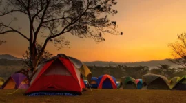 Experience Camping in Kasauli: The Ultimate Nature Getaway