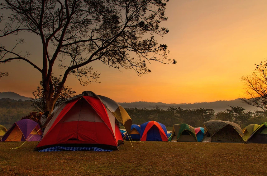 You are currently viewing Experience Camping in Kasauli: The Ultimate Nature Getaway