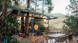 Kasauli Hotels with Best View: Best Restaurant to Visit in 2024