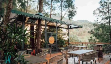 Top Reasons to Choose Brook & Pines Restaurants for Your Next Getaway