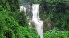 Explore the Best Waterfalls in Kasauli to Visit in 2024