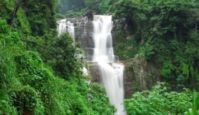 Explore the Best Waterfalls in Kasauli to Visit in 2024