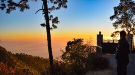 Top Restaurants in Kasauli: A Food Lover’s Guide to the Best Dining Experiences