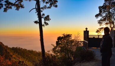 Top Restaurants in Kasauli: A Food Lover’s Guide to the Best Dining Experiences