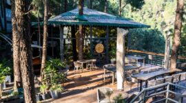 Brook & Pines Outdoor Games & Activities — Fun for All Ages