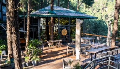 Brook & Pines Outdoor Games & Activities — Fun for All Ages