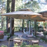 Best Restaurant in Kasauli for Families, Couples & NRI Visitors – Brook & Pines