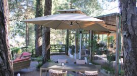 Best Restaurant in Kasauli for Families, Couples & NRI Visitors – Brook & Pines