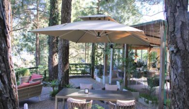 Best Restaurant in Kasauli for Families, Couples & NRI Visitors – Brook & Pines