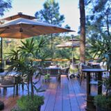 Patio Dining in Kasauli — Spring Ambience, Sun & Fresh Food