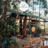 Best Cafe in Kasauli Mall Road for NRI Visitors – Brook & Pines Restaurant & Microbrewery