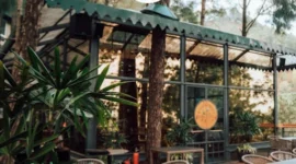 Best Cafe in Kasauli Mall Road for NRI Visitors – Brook & Pines Restaurant & Microbrewery