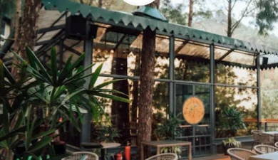 Best Cafe in Kasauli Mall Road for NRI Visitors – Brook & Pines Restaurant & Microbrewery