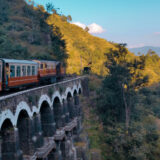 Spring Launch: New Menu Items & Seasonal Beers at Brook & Pines