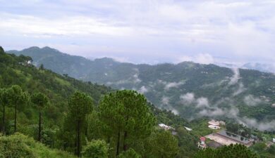 Monsoon Evenings: Live Music & Café Nights in Kasauli