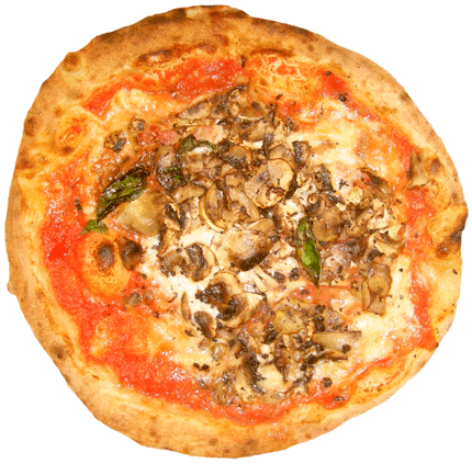 brook and pines kasauli wood fire pizza pop that pilsner keg