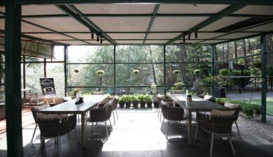 Best Food & Drink Pairings at Kasauli’s Brook & Pines