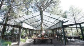Family-Friendly Cafes in Kasauli That Everyone Will Love