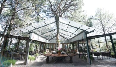 Family-Friendly Cafes in Kasauli That Everyone Will Love