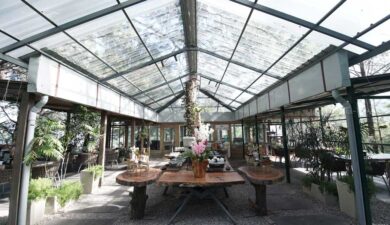 Top 5 Craft Brews to Try at Brook & Pines, Kasauli Hills