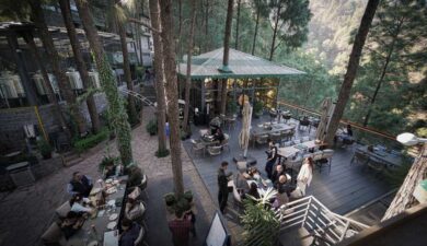 Top 7 Activities Around Brook & Pines: Dining Plus Adventure
