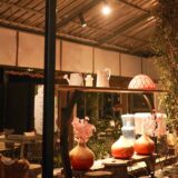 Why the Best Cafe in Kasauli Should Be on Your Travel List